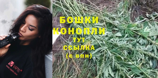 бошки Богородицк