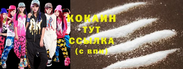 бошки Богородицк